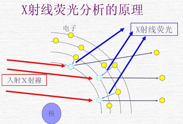 1684983954.jpg u=1244556689,4293542545&fm=253&fmt=auto&app=138&f=PNG.webp.jpg